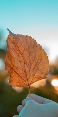 otoño
